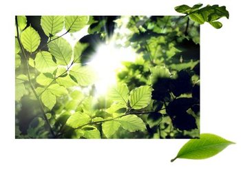 ContentBlock3 Sustainable