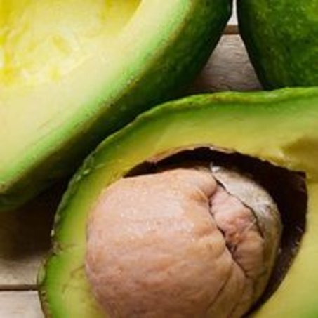 Buah Avocado