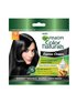 garnier color naturals express cream 1 hitam alami